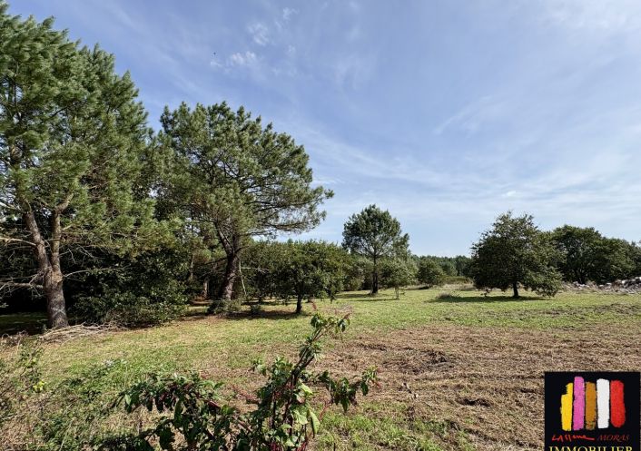 vente Maison Mimizan