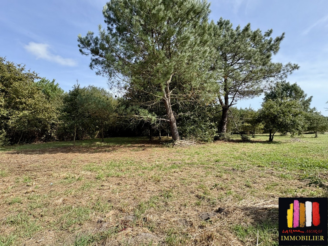 vente Maison Mimizan - Photo 1