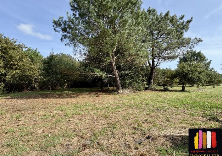 vente Maison Mimizan