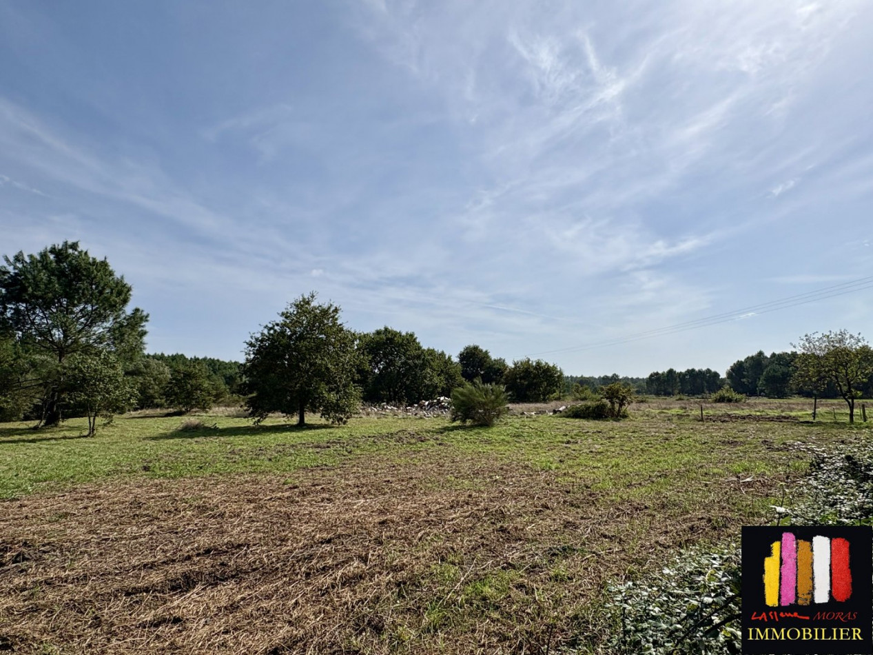 vente Maison Mimizan - Photo 9