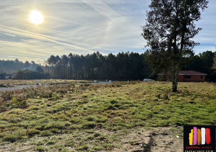 vente Terrain en lotissement Pontenx Les Forges