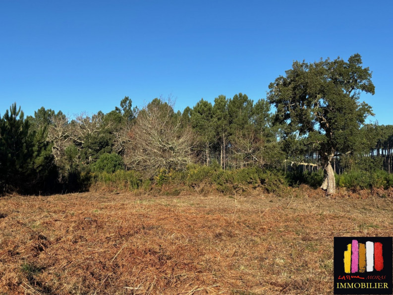 vente Terrain en lotissement Moliets Et Maa - Photo 2