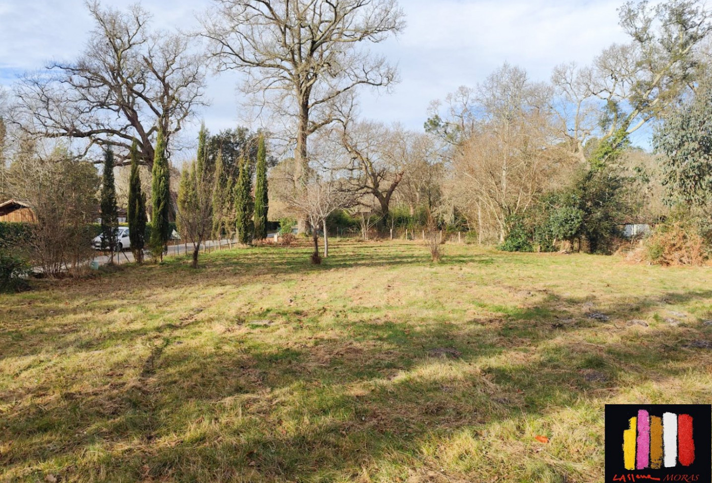 vente Terrain Mezos - Photo 4