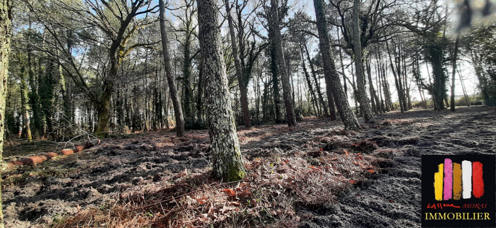 vente Terrain constructible Lit Et Mixe - Photo 1