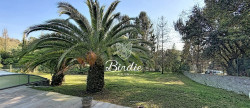 vente Maison Biarritz