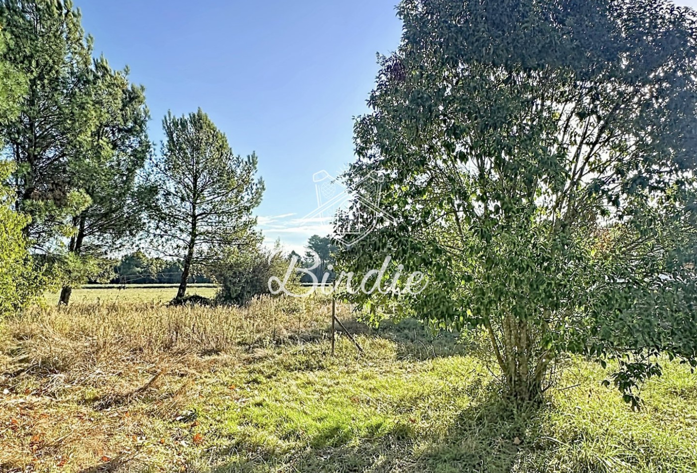 vente Maison Soustons - Photo 1