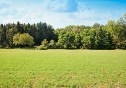 vente Terrain Anglet