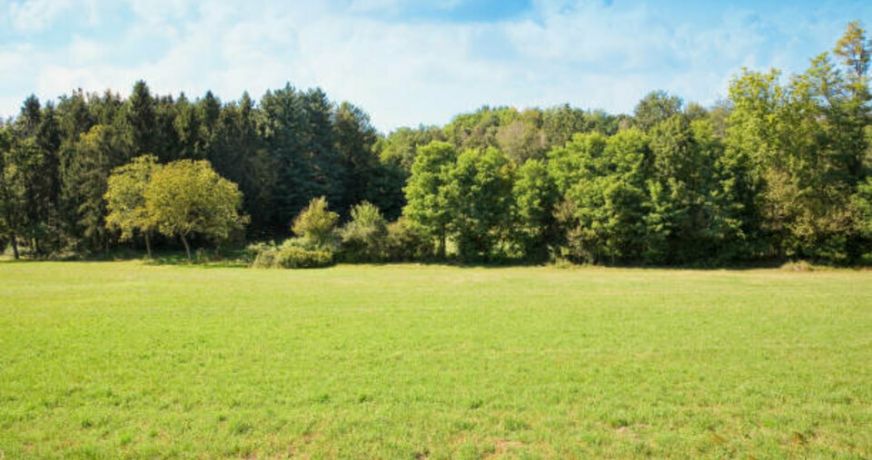 vente Terrain Anglet