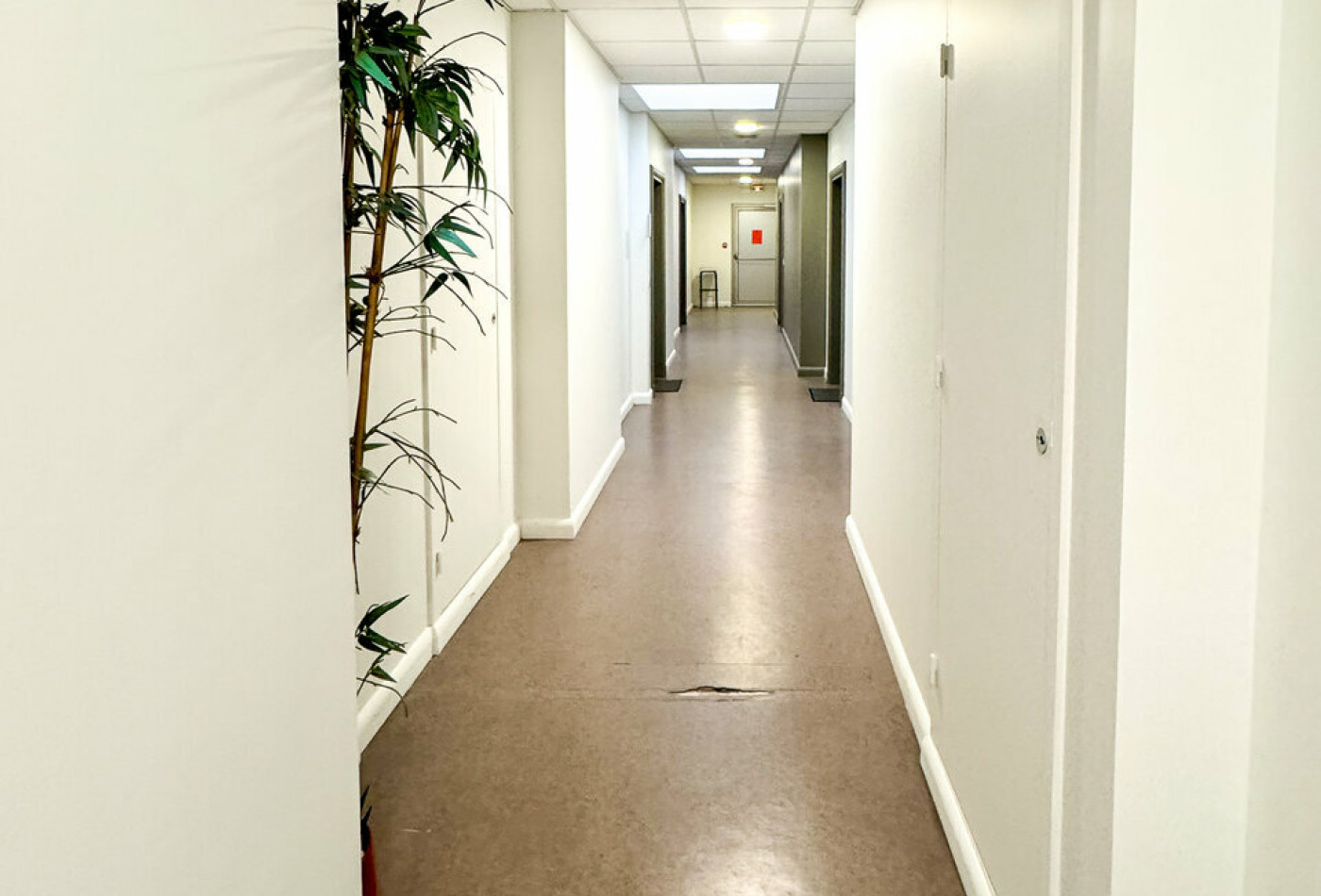 location Bureau Anglet - Photo 4