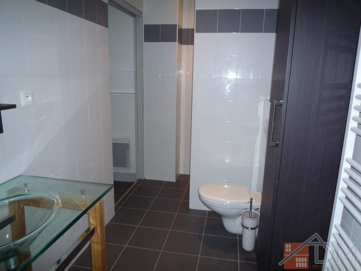 à louer Appartement Saint Etienne - Photo 8