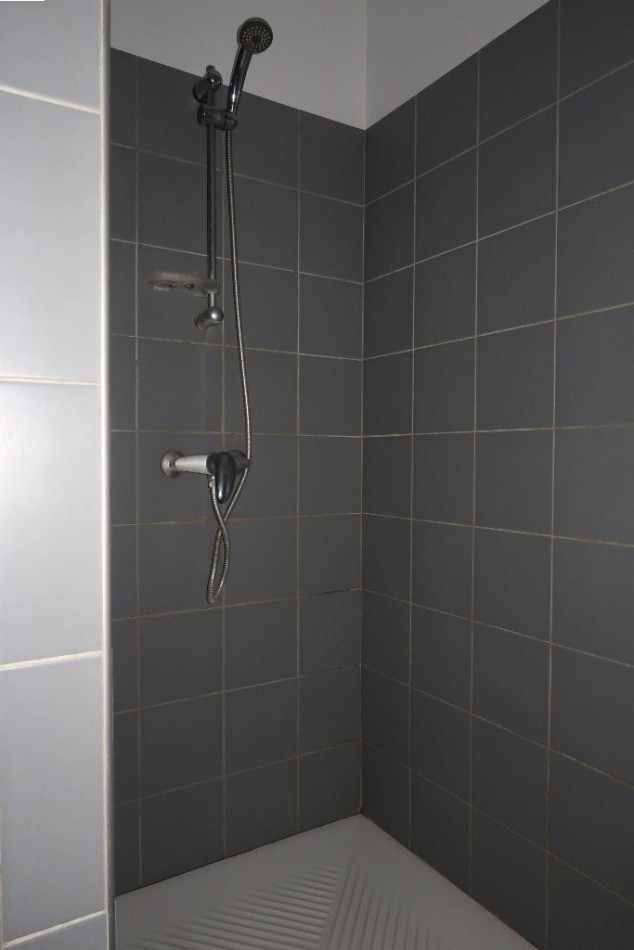 à louer Appartement Saint Etienne - Photo 7