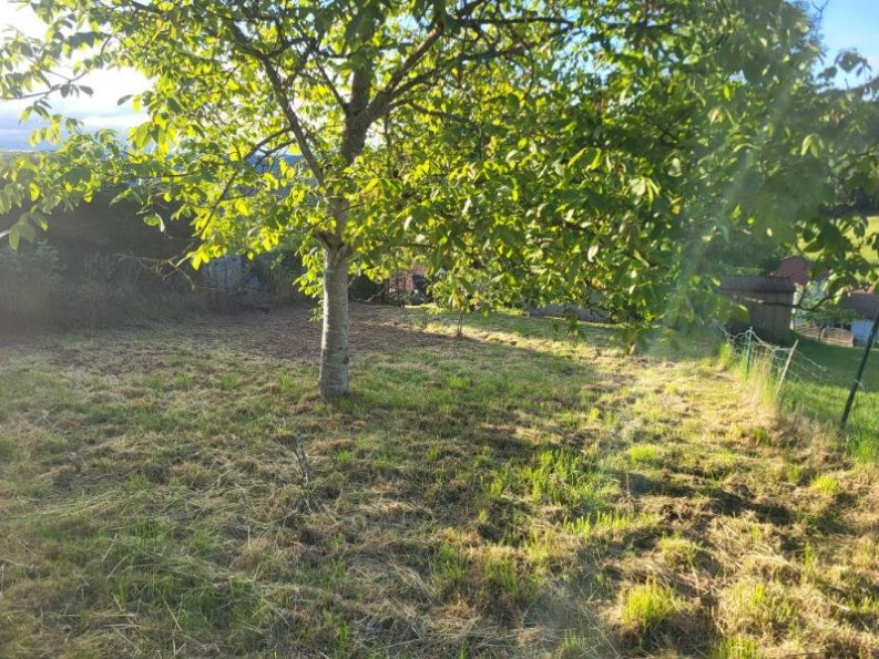 vente Terrain Saint Ferreol D'auroure - Photo 4