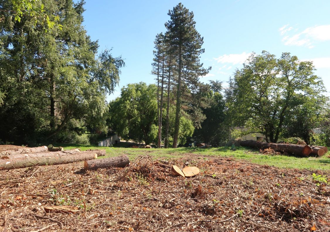 for sale Terrain Saint Heand