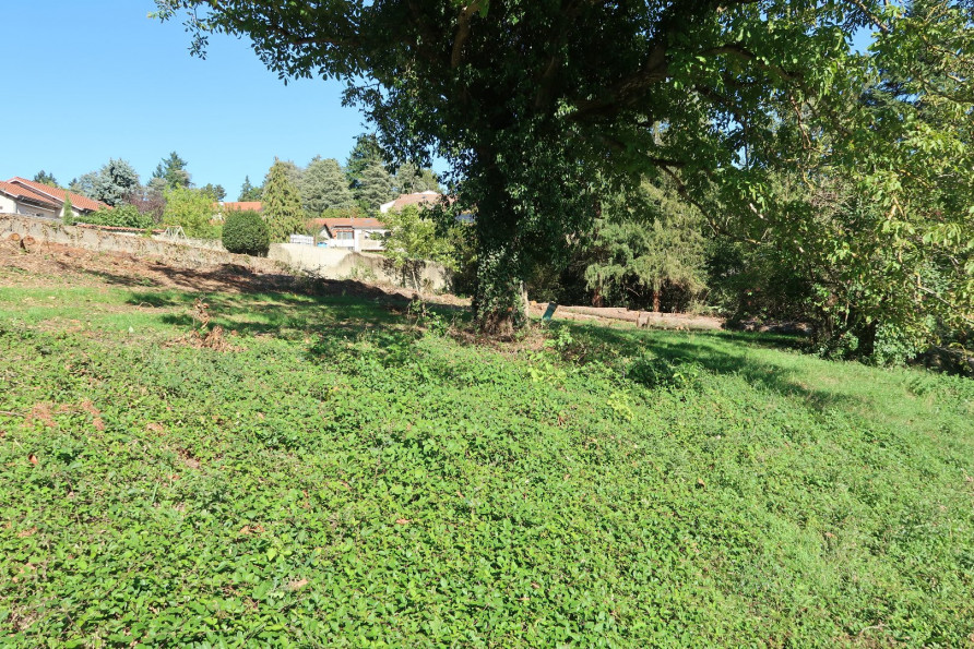 vente Terrain Saint Heand - Photo 2