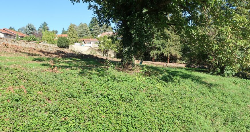 vente Terrain Saint Heand