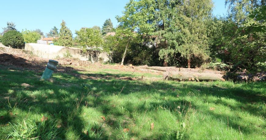 vente Terrain Saint Heand