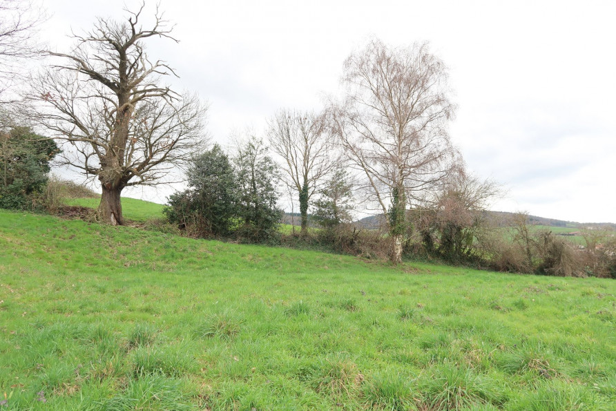 vente Terrain Le Chambon Feugerolles - Photo 4