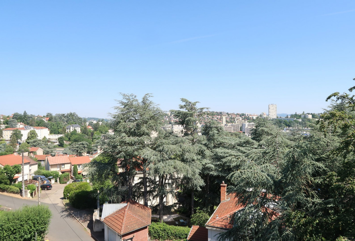vente Appartement Saint Etienne - Photo 8