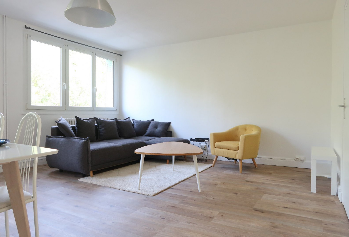 location Appartement Saint Chamond - Photo 1
