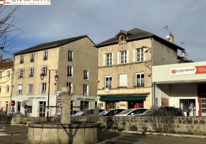 vente Maison de village Saint Julien Chapteuil