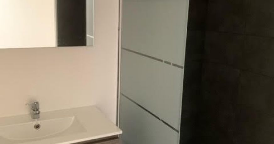 vente Appartement Saint Etienne