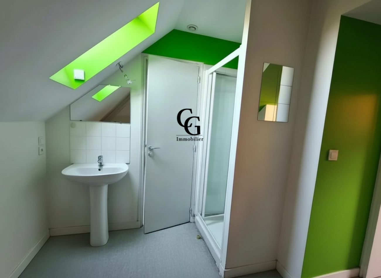 à louer Appartement Saint-sébastien-sur-loire - Photo 6