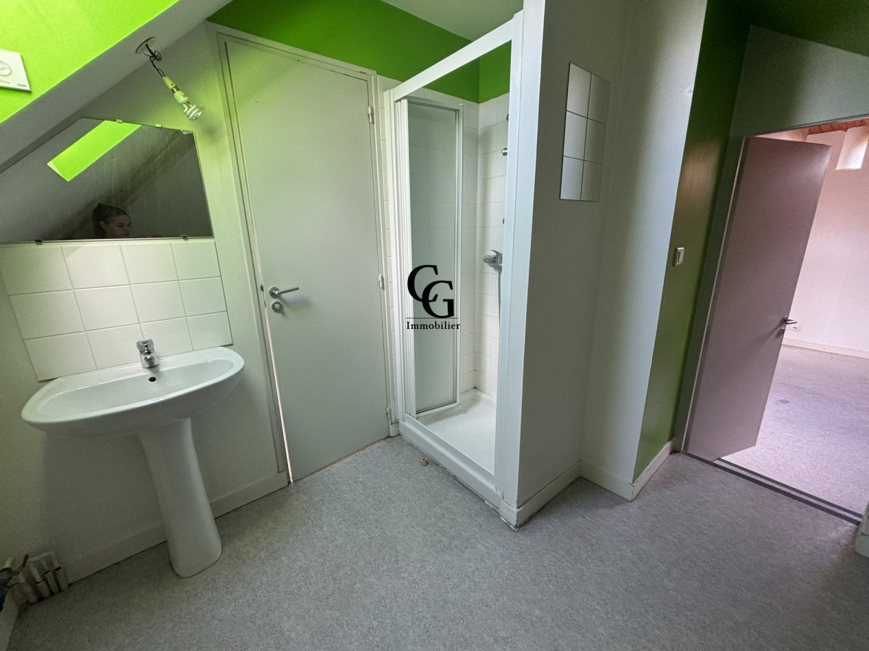 à louer Appartement Saint-sébastien-sur-loire - Photo 9