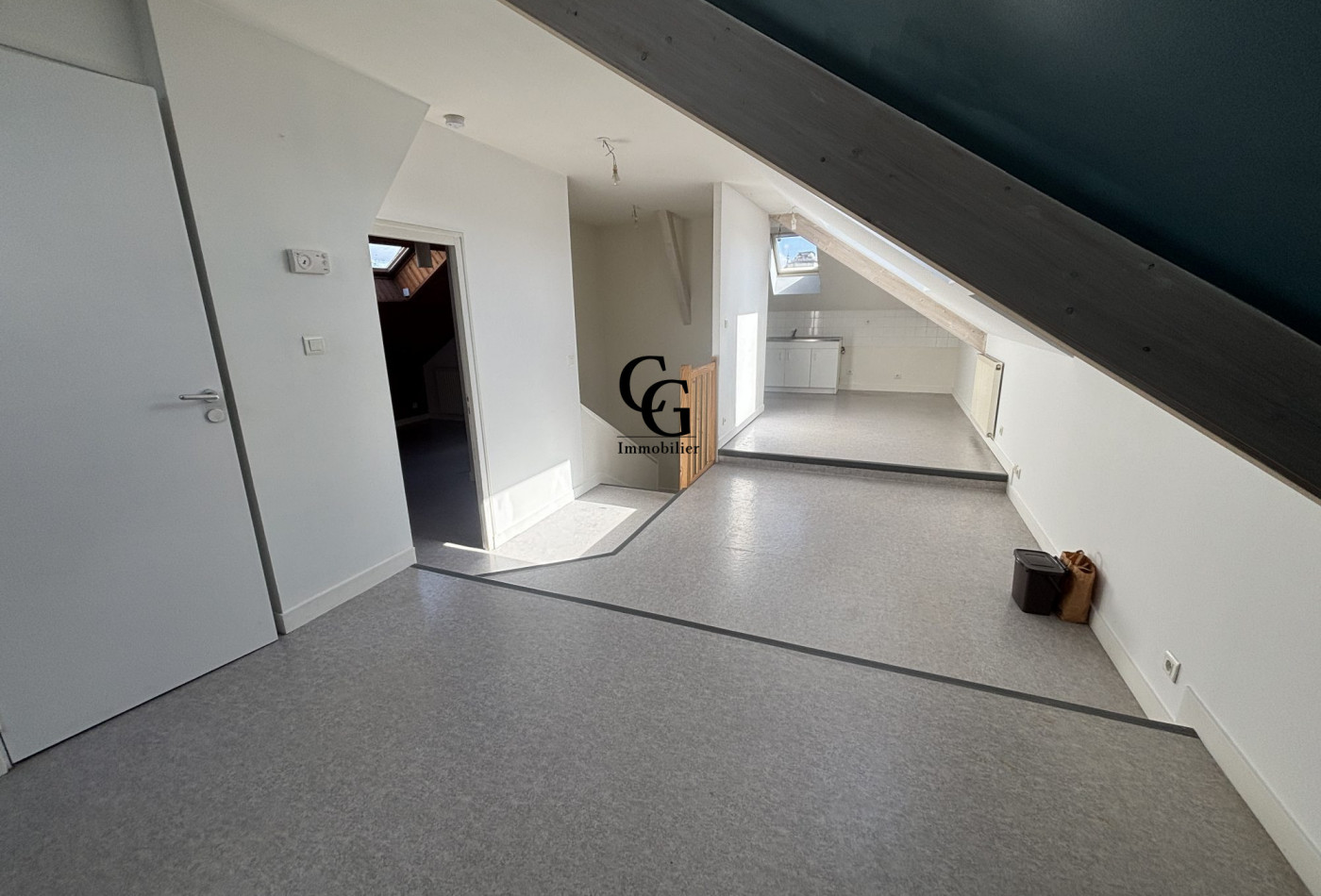 location Appartement Saint-sébastien-sur-loire - Photo 2