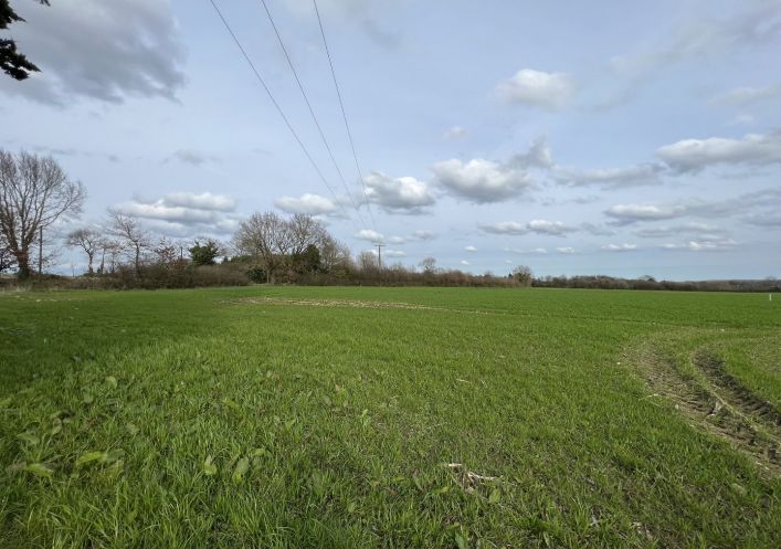 à vendre Terrain Villepot