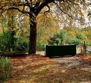 A vendre La Limouziniere 44019496 Like immobilier