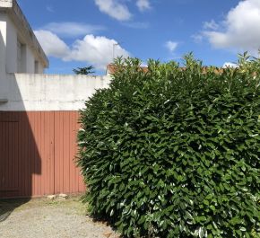 For sale Pont Saint Martin 44019860 Like immobilier