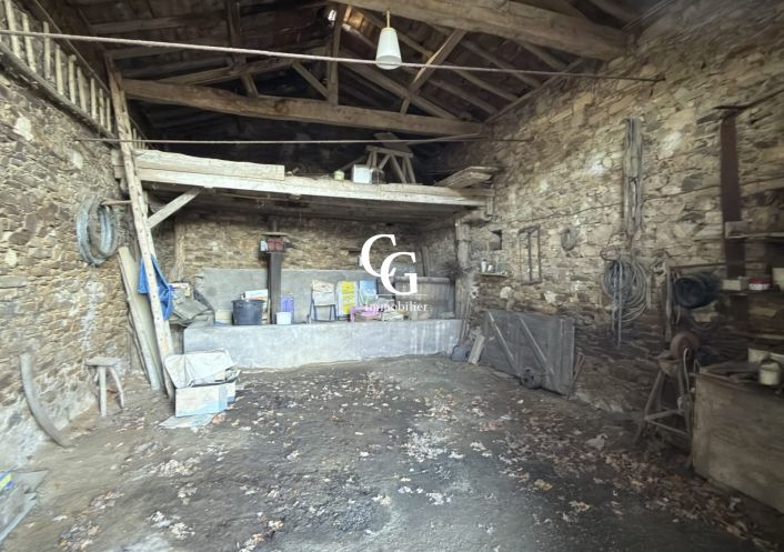 à vendre Maison Vieillevigne