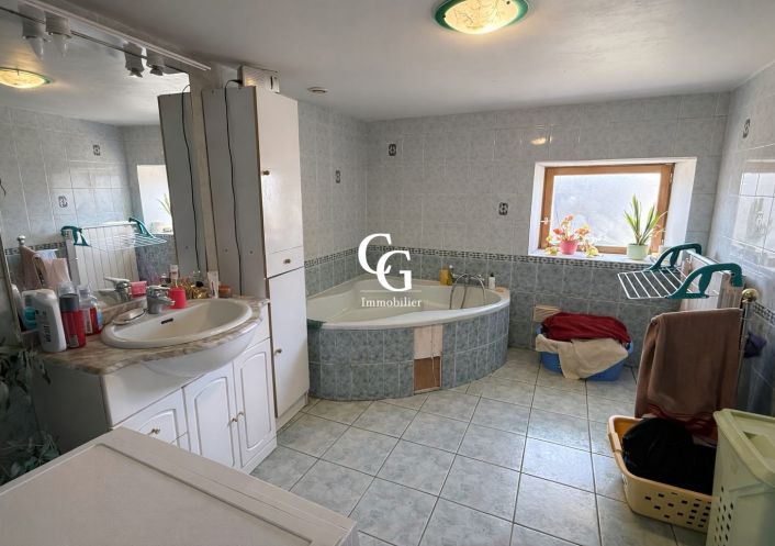 à vendre Maison Vieillevigne