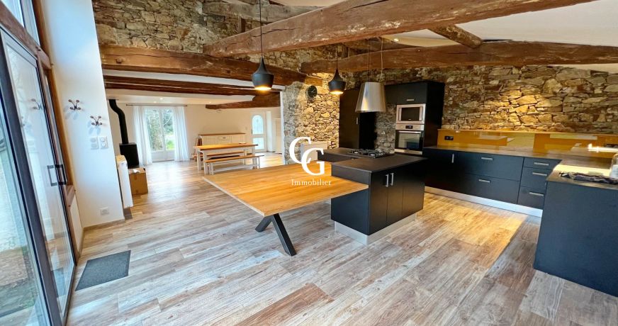 vente Maison Vieillevigne