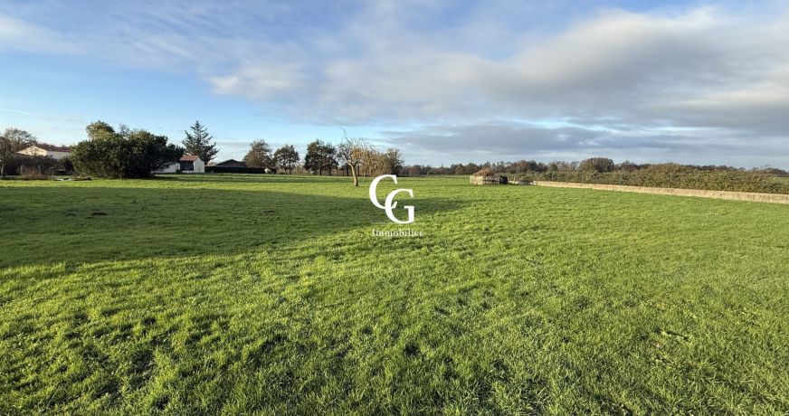 vente Maison Vieillevigne