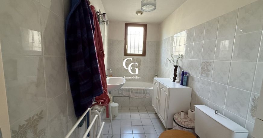 vente Maison Vieillevigne