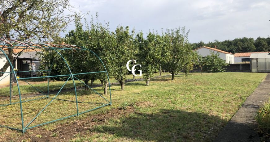 vente Terrain Vieillevigne