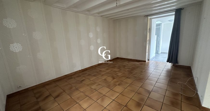 vente Maison Vieillevigne