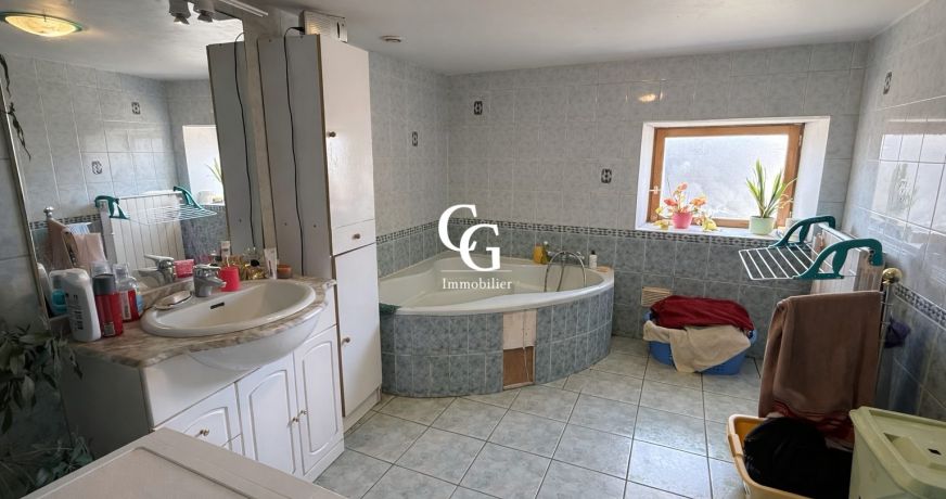 vente Maison Vieillevigne