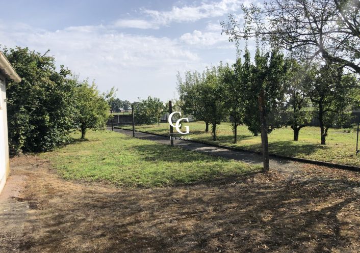 à vendre Terrain Vieillevigne