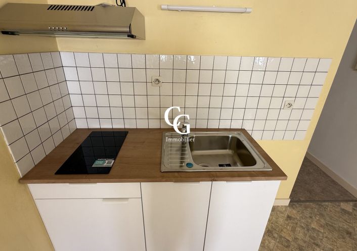 à louer Appartement Vieillevigne