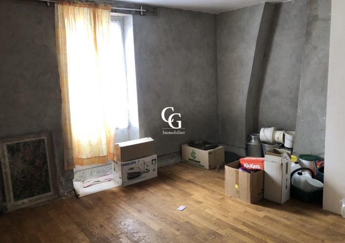 à vendre Maison Vieillevigne