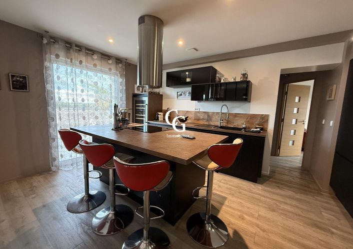 à vendre Maison Vieillevigne