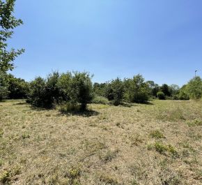 vente MontrÉverd