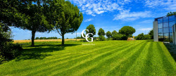 vente Local commercial Vieillevigne