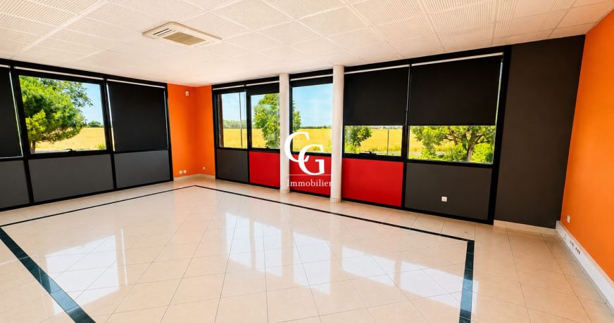 vente Local commercial Vieillevigne