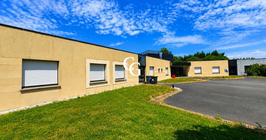 vente Local commercial Vieillevigne