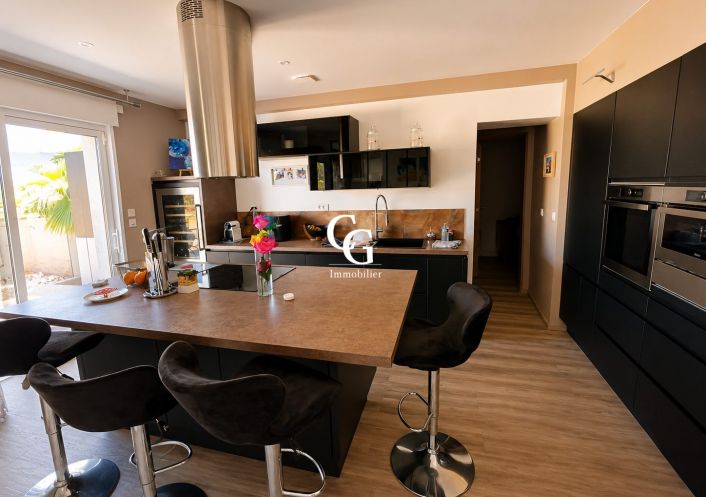 à vendre Maison Vieillevigne