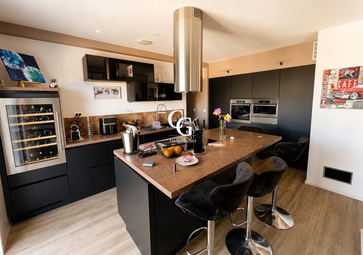 à vendre Maison Vieillevigne