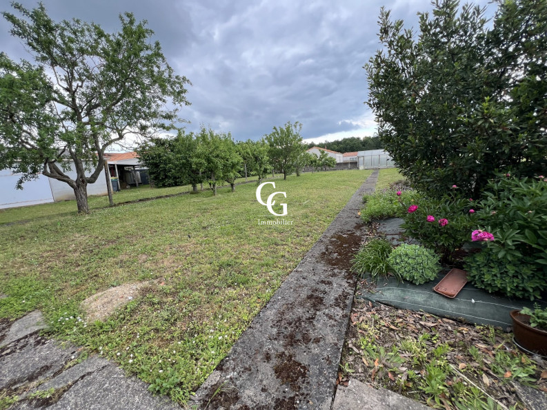 vente Terrain Vieillevigne - Photo 3